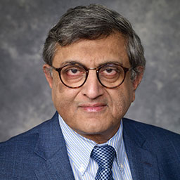 Vikram Nanda, PhD